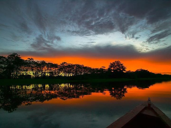 Pôr do sol nas águas da floresta